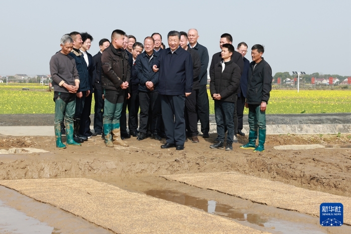 3月18日至21日，中共中央总书记、国家主席、中央军委主席习近平在湖南考察。这是19日下午，习近平在常德市鼎城区谢家铺镇港中坪村走进田间，察看秧苗培育和春耕备耕进展。新华社记者 王晔 摄