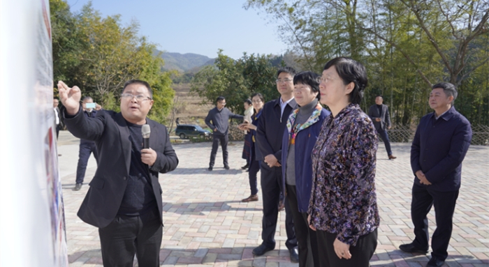 焦红1 焦红1